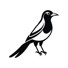 Obraz premium mockingbird auf blue bonnet flower vector silhouette, magpie icon Simple illustration of male magpie vector icon, Small magpie icon Simple illustration of small magpie vector icon