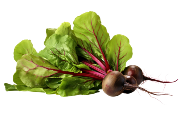 Whole beetroot, washed and scrubbed, separated on a white background.