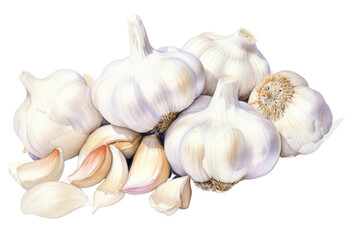 Realistic photo of garlic clove isolated on white background.