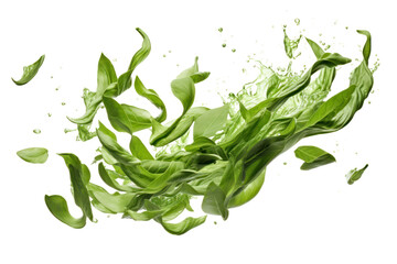 Fresh green leaves decorated with dew drops swaying, isolated on white background.