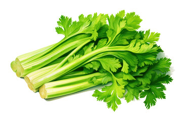 Still life of chopped parsley. Realistic photo isolated on white background.