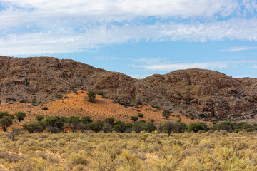 Landschaft in der Kalahari
