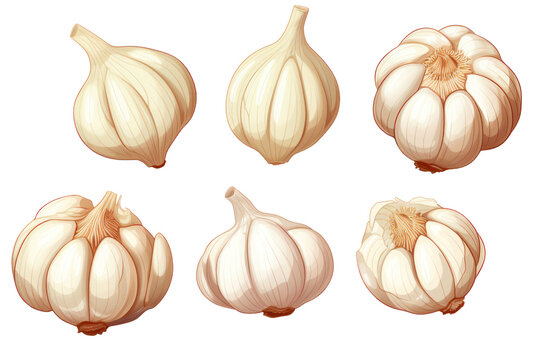 Pixel art illustration of garlic clove isolated on white background.
