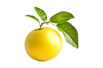 Ripe Yellow Lemon with Green Leaves