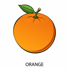 Orange in cartoon style on a white background. Vector illustration.