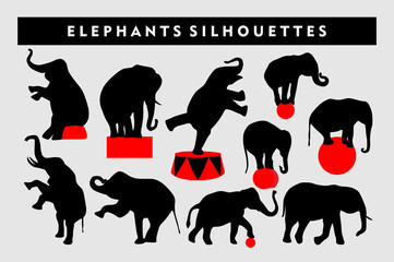  Vector silhouettes of circus elephants © sanan
