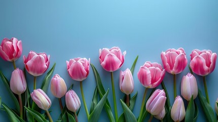 A trio of pink flowers, possibly tulips or peonies, arranged in a vase.