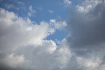 Blue sky with white clouds (cumulus) 