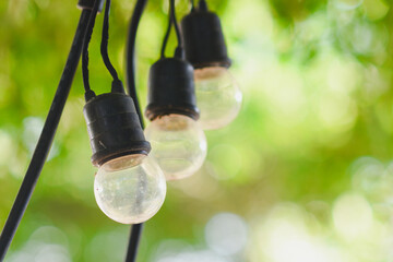 Decorative light bulbs in a restaurant