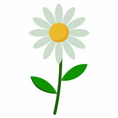 Fototapeta premium Daisy Flower Vector Illustration - Cartoon, Clipart, and Line Art Design