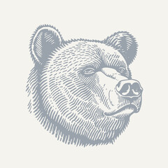 Bear Head. Vintage woodcut engraving style vector illustration.