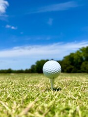 Teed Up for a Long Drive