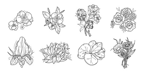 Black and white set of flower greenery leaves line art isolated. Spring floral garden roses black logo wreath sketch plant. Vector illustration botanical stem, green leaves, floral bloom