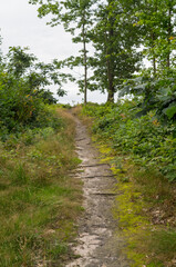 Fototapeta premium narrow footpath up the hill
