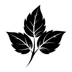 Leaf Silhouette Illustration isolated on white background