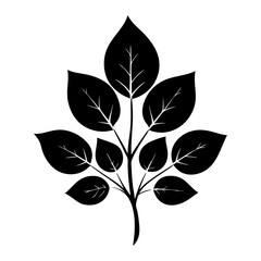 Leaf Silhouette Illustration isolated on white background