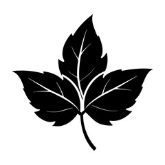 Leaf Silhouette Illustration isolated on white background