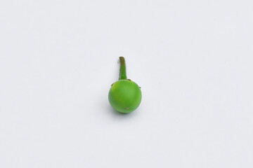 Solanum torvum isolated on white, Turkey Berry, Pokak, Takokak