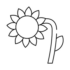 sunflower plant line icon vector. sunflower plant sign. isolated contour symbol black illustration