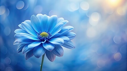 Blue flower with delicate petals on a soft background, blue, flower, background, delicate, petals, soft, nature, beauty, bloom