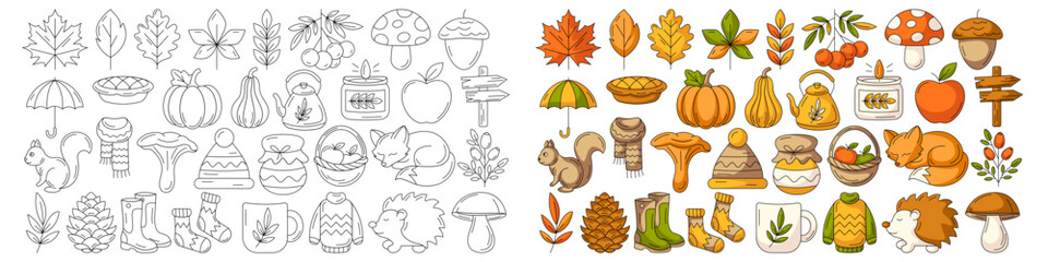 Autumn vector black outline icons and colorful illustration set. Season collection, seasonal elements, symbols and attributes. Fall leaves, clothes, mushrooms, wild animals, berry, pumpkin.