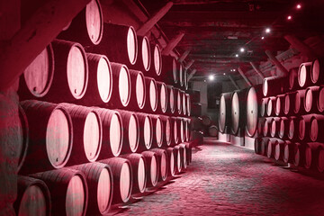 toneles, cava, bodega, almacenamiento, vino, tinto, malbec, 