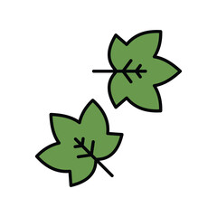 maple leaf color line icon with white background vector stock illustration