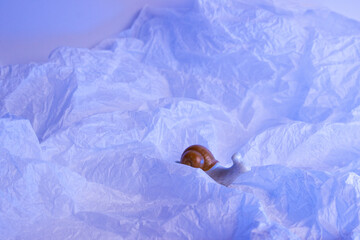 This ceramic snail figurine sits on a plain white background, its textured brown shell and rounded body creating a charming, whimsical piece. A delightful addition to any home.