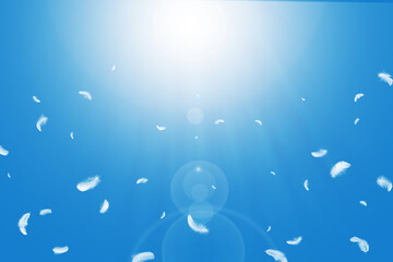 Abstract Many White Bird Feathers Floating in A Blue Sky. Sunlight Shines Down on The Feathers. Softness of Feathers Falling in Heavenly. Freedom, Symbol of Peace.	
