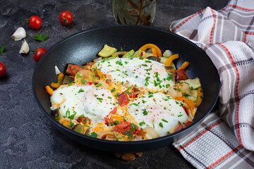 Shakshuka in a frying pan.  Fried eggs with tomato, pepper, zucchini and herbs