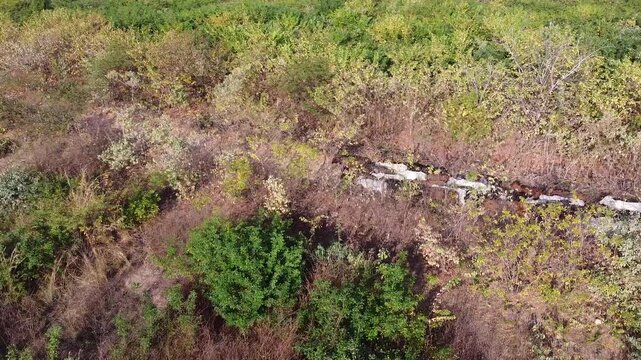 paisagem t&iacute;pica nordestina, caatinga, sert&atilde;o nordestino, 