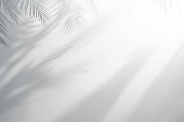 Obraz premium A white diagonal line architecture background with an abstract simplicity.