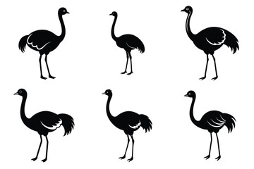 Ostrich silhouette vector illustration