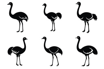 Ostrich silhouette vector illustration