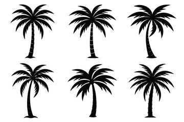 Palm tree Silhouette vector illustration