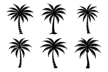 Palm tree Silhouette vector illustration