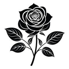 Rose flower with rose tree