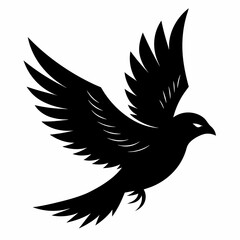 Obraz premium dove of peace