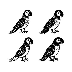 set of parrot bird illustration 