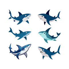 set of sharks illustration 