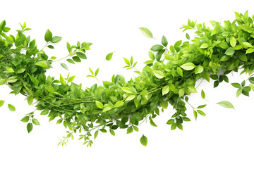 Obraz premium Greenery freshness leaves twist flowing in the air png
