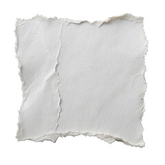 Obraz premium White ripped paper torn edges strips isolated on white background
