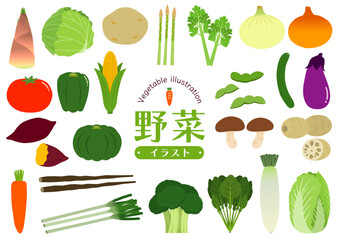 色々な野菜のイラストのセット