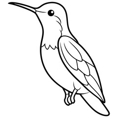 Hummingbird isolated on white, hummingbird vector illustration, bird on a branch vector art, hummingbird silhouette, bird vector icon, hummingbird on a branch line art, eps, hummingbird on a branch ca