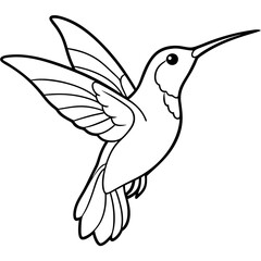 Hummingbird isolated on white, hummingbird vector illustration, bird on a branch vector art, hummingbird silhouette, bird vector icon, hummingbird on a branch line art, eps, hummingbird on a branch ca