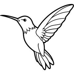 Hummingbird isolated on white, hummingbird vector illustration, bird on a branch vector art, hummingbird silhouette, bird vector icon, hummingbird on a branch line art, eps, hummingbird on a branch ca
