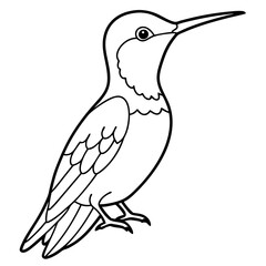 Hummingbird isolated on white, hummingbird vector illustration, bird on a branch vector art, hummingbird silhouette, bird vector icon, hummingbird on a branch line art, eps, hummingbird on a branch ca
