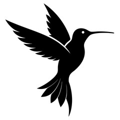 Hummingbird isolated on white, hummingbird vector illustration, bird on a branch vector art, hummingbird silhouette, bird vector icon, hummingbird on a branch line art, eps, hummingbird on a branch ca