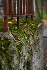 Moss-covered stone wall with rusted iron railings in a tranquil outdoor setting during autumn