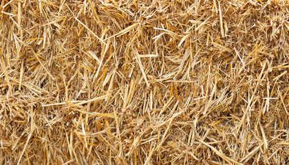 Hay texture. Close-up of a pile of golden yellow hay. Straw for background. The hay is tightly baled